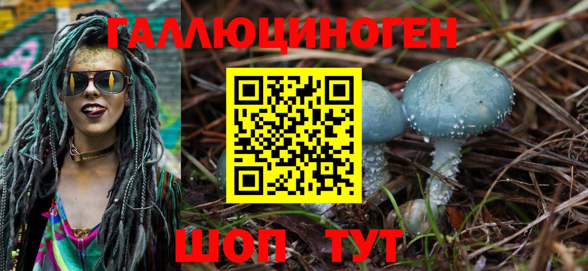 Кохма  Галлюциногенные грибы MAGIC MUSHROOMS  Псилоцибиновые грибы Psilocybe  цены   Вход с VPN 