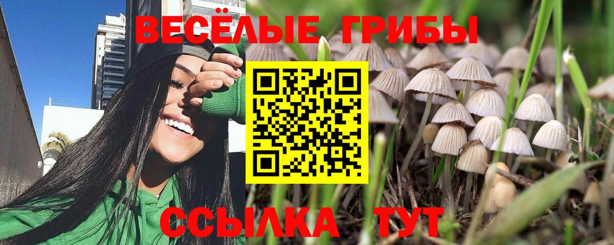 Галлюциногенные грибы прущие грибы Кохма