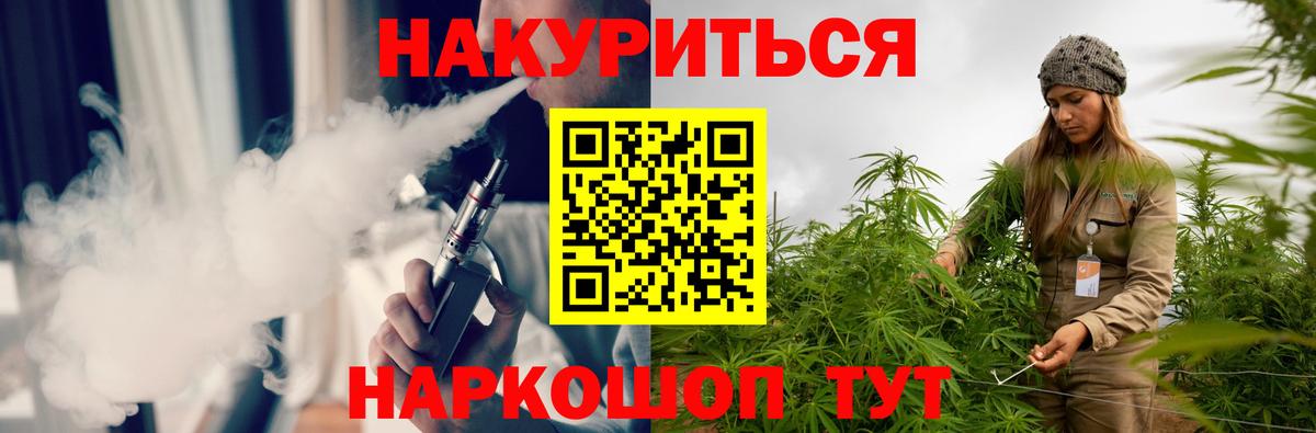 Канабис планчик  Конопля ГИДРОПОН  Конопля SATIVA & INDICA  Кохма  Канабис семена  Вход с VPN 